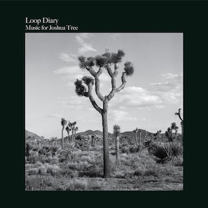 Loop Diary Music for Joshua Tree
